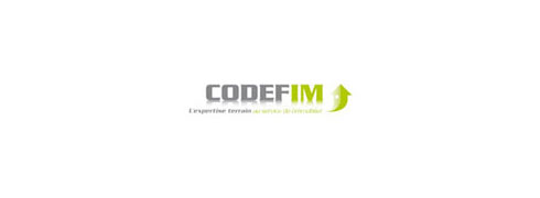 site web codefim a été réalisé par cep-socotic agence web implante a proximite de azay_le_rideau 37190
